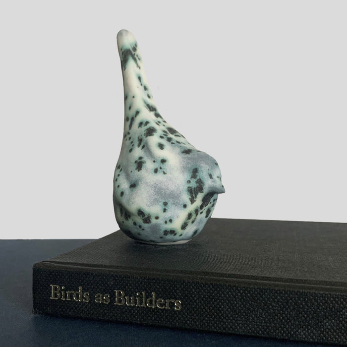 Moonscape Bird 4