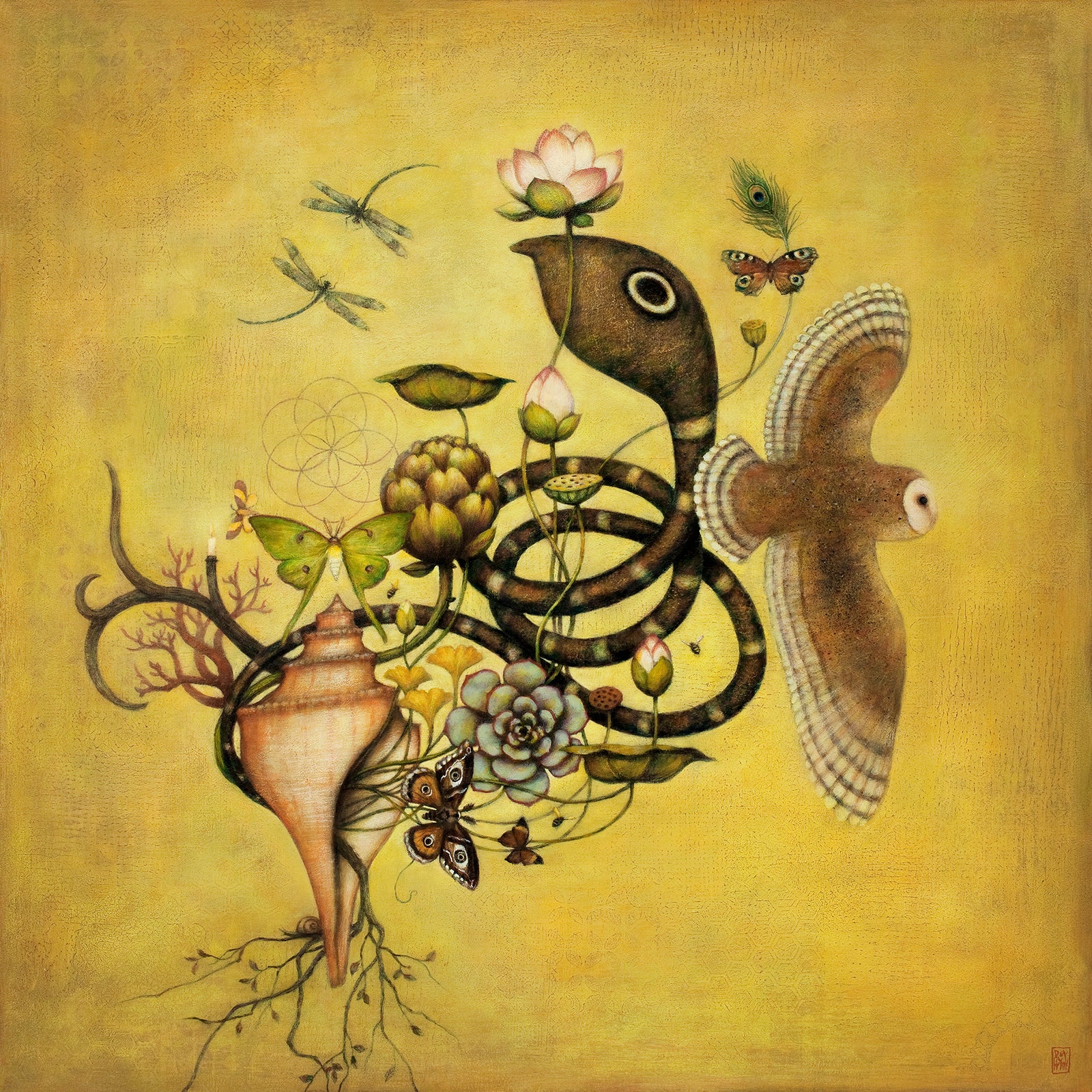 Duy Huynh's "Cycle of Seven" 12 x 12" limited edition print on paper. A flora, fauna and chakra inspired image that includes a lotus flower, barn owl, conch shell, luna moth, monocled cobra, and more.