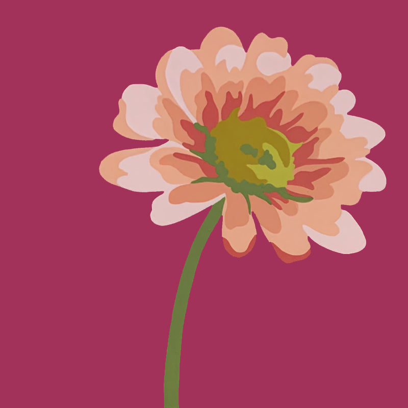 "Sherbet Daisy", 8 inch acrylic and gouache painting by Michele Aschenbrenner. Sherbet daisy with fuchsia background.