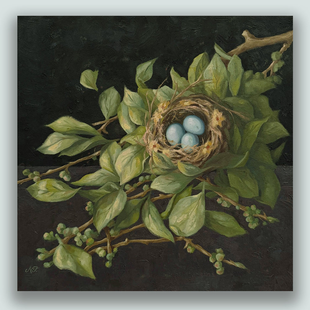 "Nestled", 16 x 16" oil painting by Ninalee Irani. A nest with three blue eggs is nestled among a branch of green foliage, with a dark background.