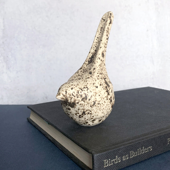 Winter Bird Bird 1