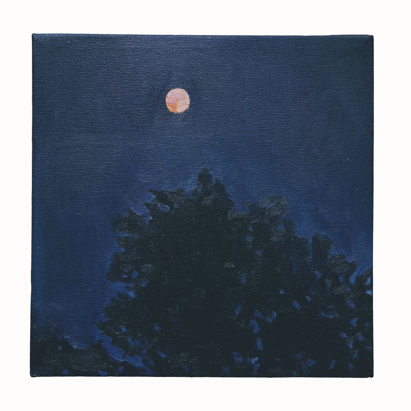 An oil painting, by Bridgette Guerzon Mills, depicting a dark blue night sky with al small orange moon just above the silhouette of treetops. 