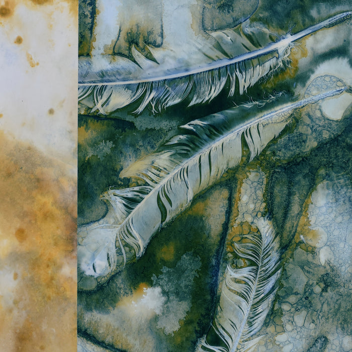 "Descendants" turkey feather cyanotype and eco-print artwork by Sarah Treanor.