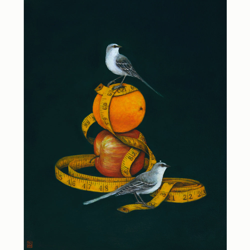 "Comparison is the Thief of Joy" artist proof from a limited edition print series by artist Duy Huynh. Two birds with an apple and an orange, with a tape measurer wrapped around. 