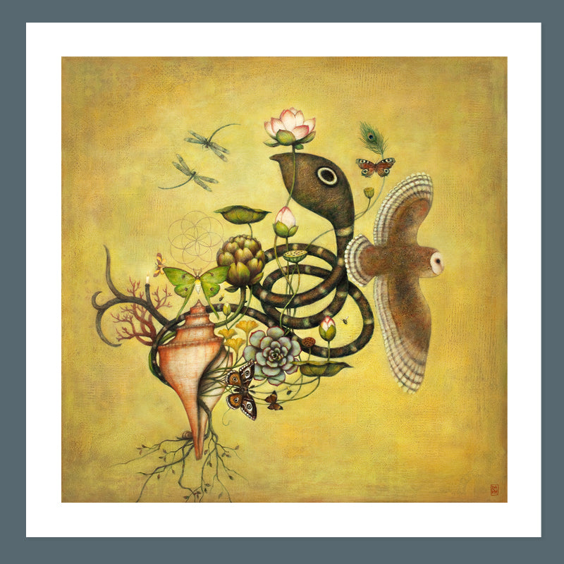 Duy Huynh's "Cycle of Seven" 12 x 12" limited edition print on paper with 1 inch white border. A flora, fauna and chakra inspired image that includes a lotus flower, barn owl, conch shell, luna moth, monocled cobra, and more.