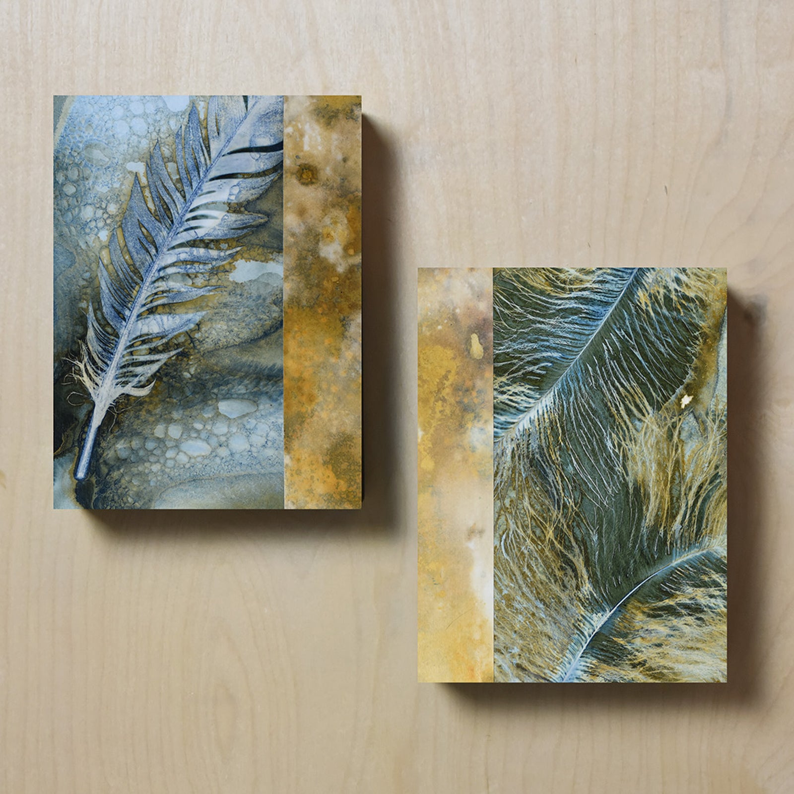 Feather cyanotype and eco-print artwork by Sarah Treanor.