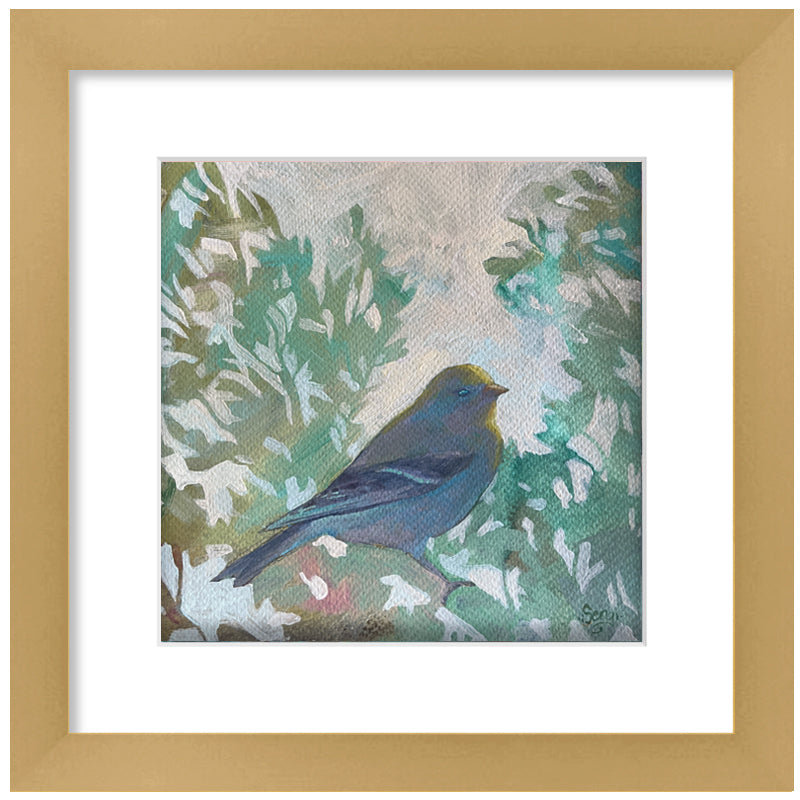 Acrylic painting on paper by Hannah Seng. A goldfinch, perched in the shadows on a branch, with light green foliage. Matted and framed in a satin gold frame. 