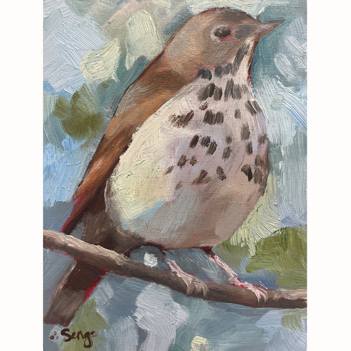 Small acrylic painting of a hermit thrush bird perched on a branch. Artwork by Hannah Seng. 
