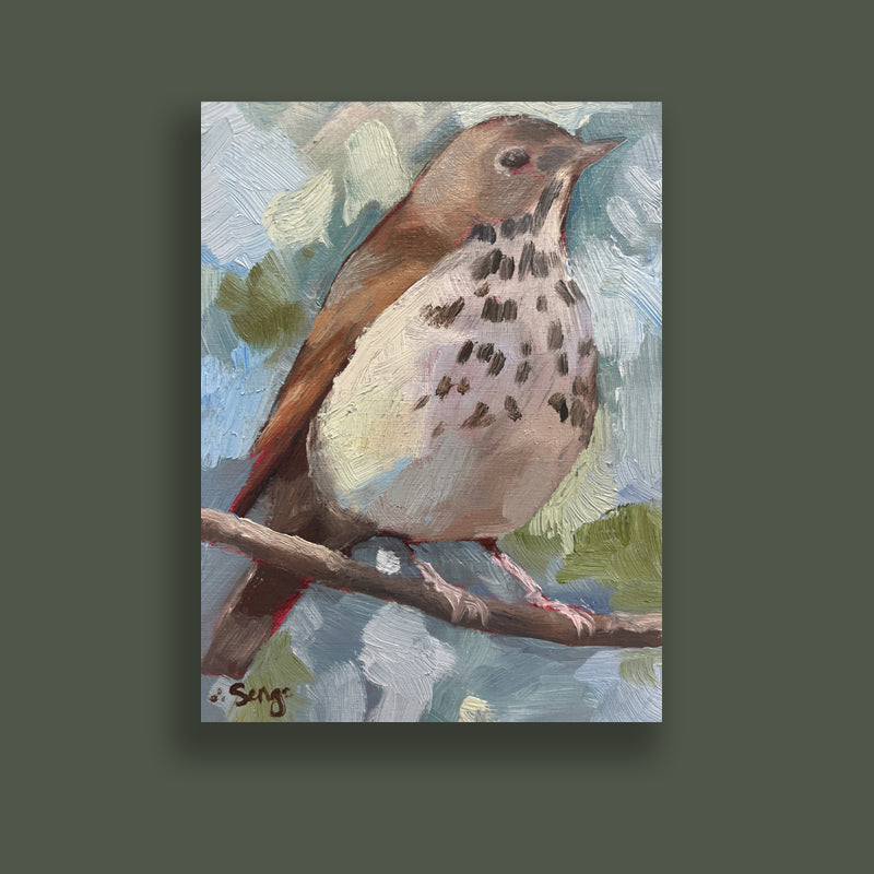 Small acrylic painting of a hermit thrush bird perched on a branch. Artwork by Hannah Seng, displayed on dark green wall. 