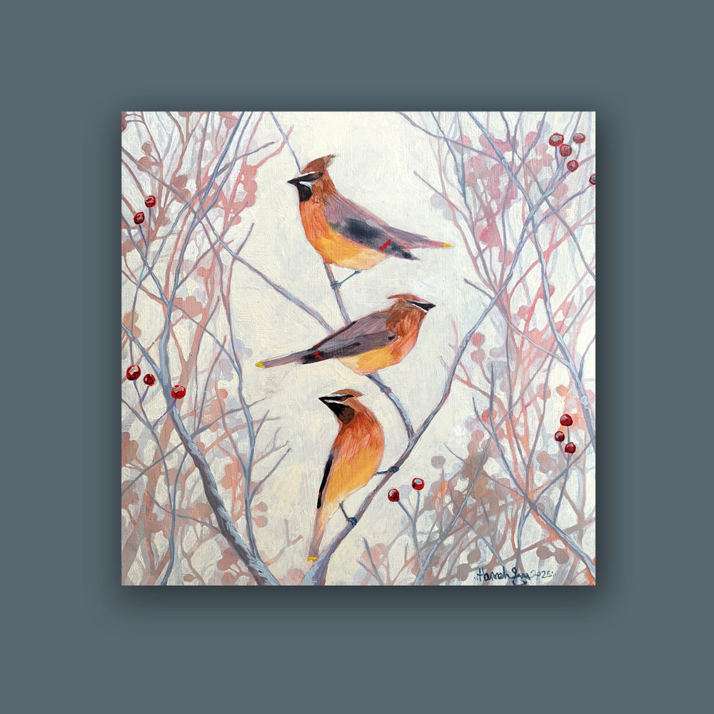 "Winter Warblers" by Hannah Seng, 12 x 12 x 1.5" acrylic on panel painting with 3 cedar waxwing birds sitting in the brush. Shown on dark blue wall.
