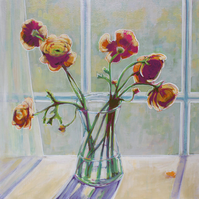 Ranunculus in the Window