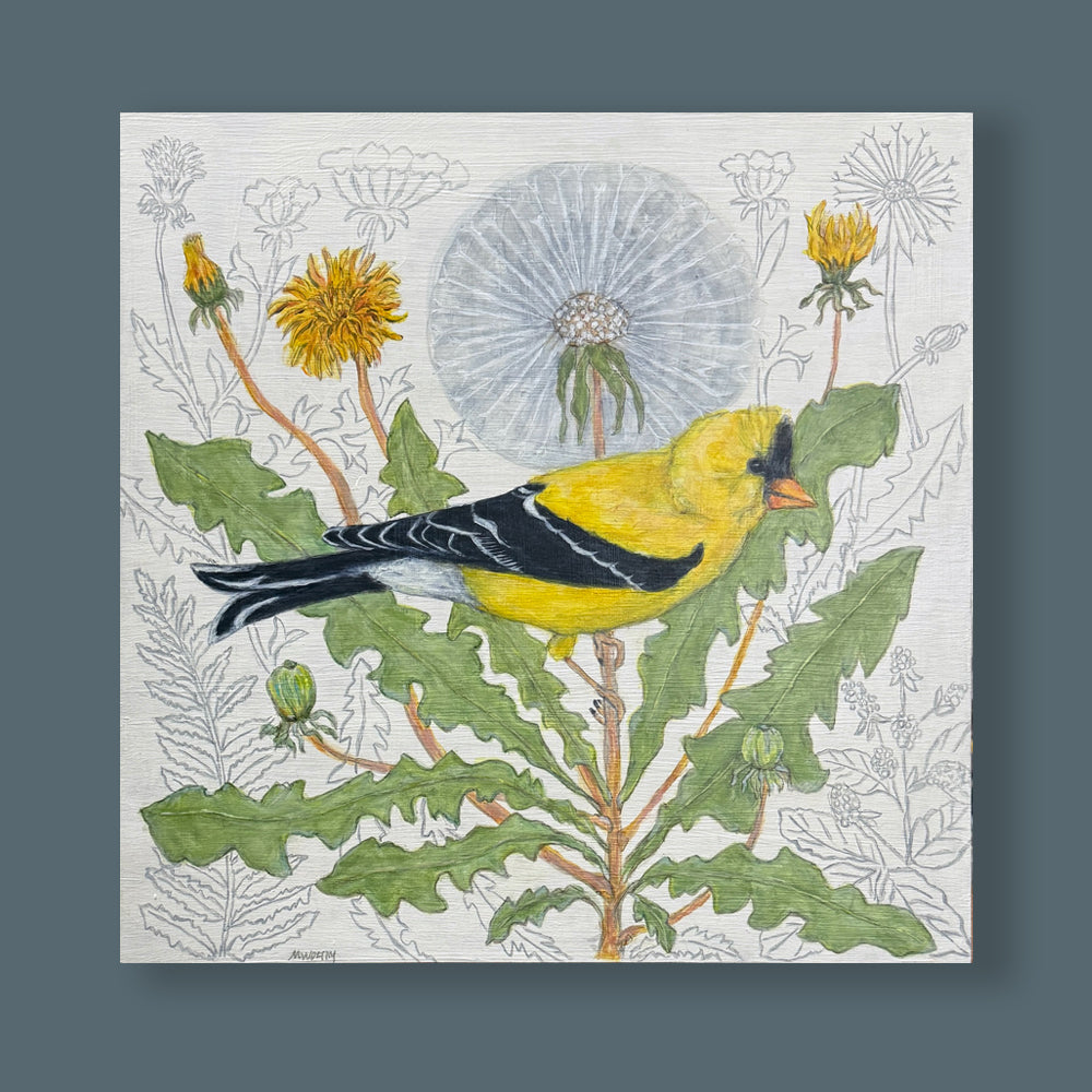 Goldfinch and Fairy Clocks, an illustrative painting by Martha Worthy featuring a goldfinch bird among dandelions. Artwork shown on blue wall.