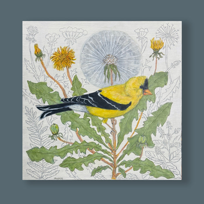 Goldfinch and Fairy Clocks, an illustrative painting by Martha Worthy featuring a goldfinch bird among dandelions. Artwork shown on blue wall.