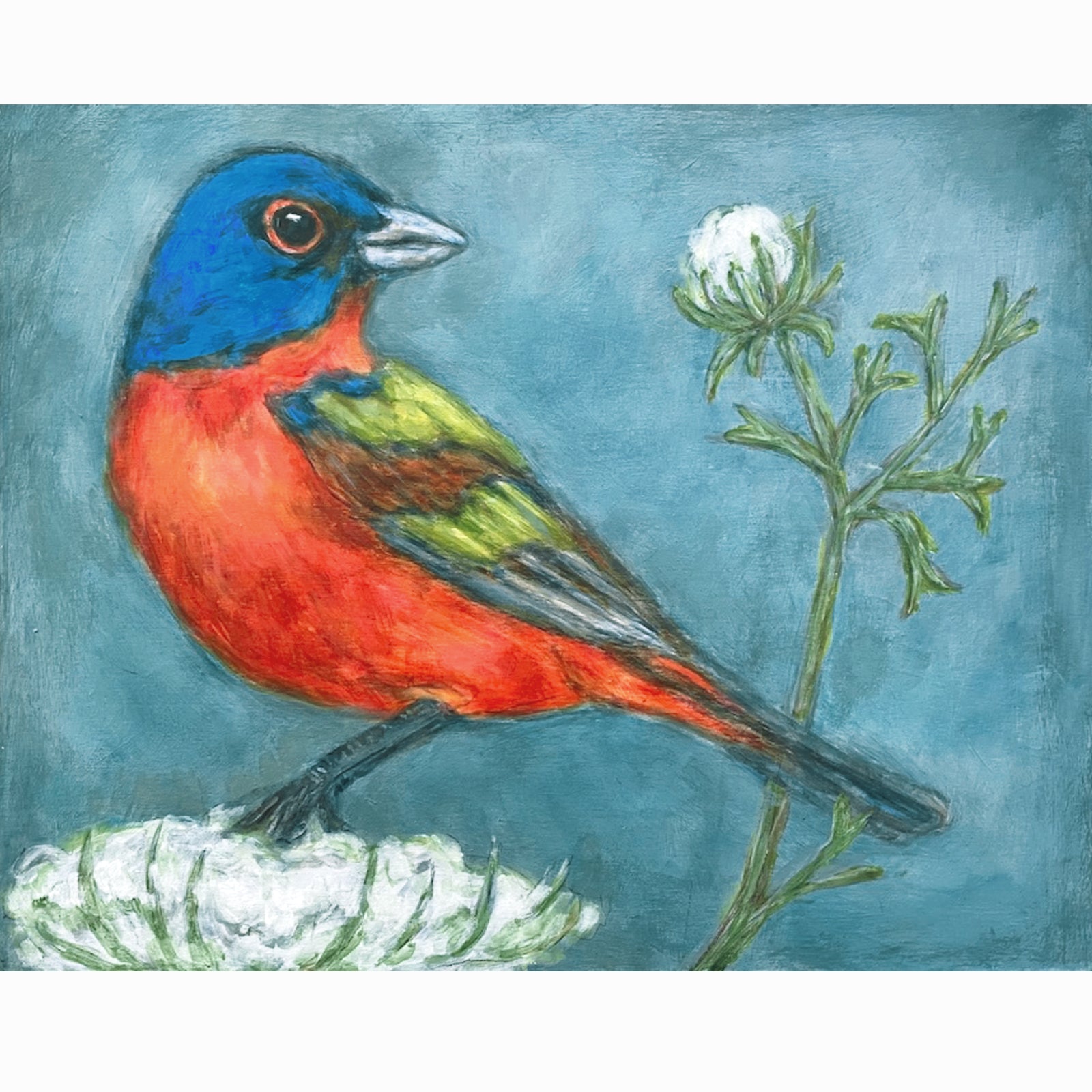 Painted Bunting with Queen Anne's Lace, painting by Martha Worthy