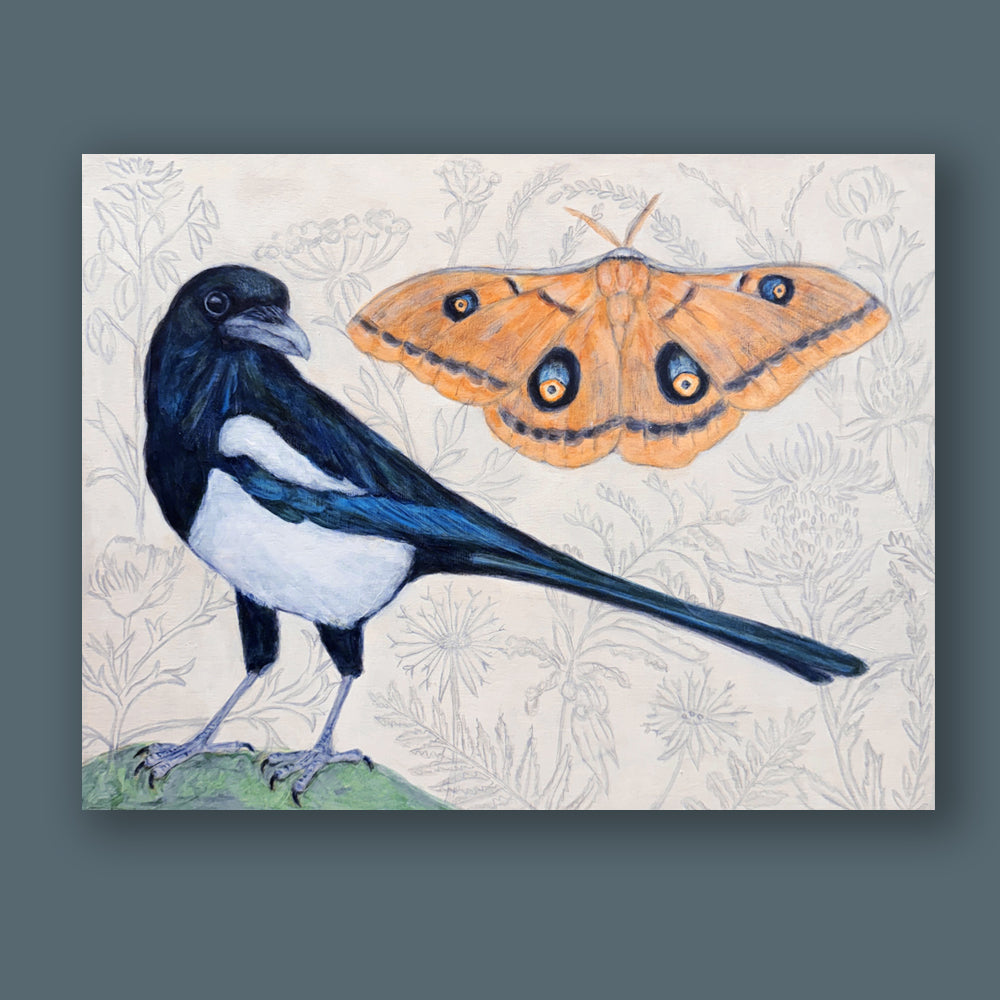 "Magpie Dreams" by artist Martha Worthy. Acrylic painting of a magpie bird and a Polyphemus moth, with a subtle, botanical background. Painting shown on a blue wall.