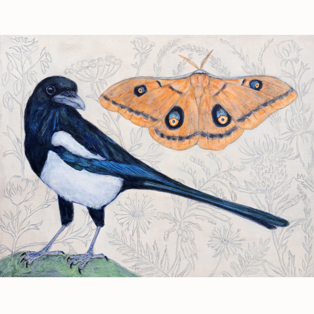 "Magpie Dreams" by artist Martha Worthy. Acrylic painting of a magpie bird and a Polyphemus moth, with a subtle, botanical background.