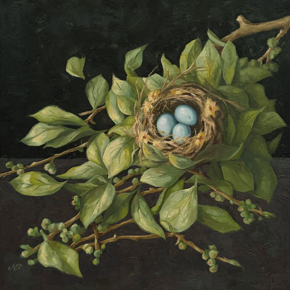"Nestled", 16 x 16" oil painting by Ninalee Irani. A nest with three blue eggs is nestled among a branch of green foliage, with a dark background.