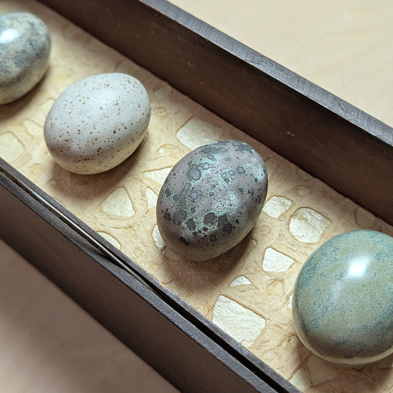 Three handmade ceramic eggs and handmade, tea stained papers set in a small vintage wood drawer. Avian Archives artwork series by Sarah Treanor. Interior detail.
