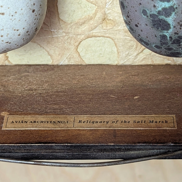 Three handmade ceramic eggs and handmade, tea stained papers set in a small vintage wood drawer. Avian Archives artwork series by Sarah Treanor. Interior title detail.