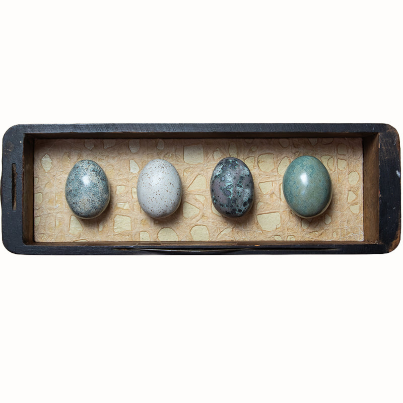 Four handmade ceramic eggs and handmade, tea stained papers set in a small vintage wood drawer. Avian Archives artwork series by Sarah Treanor. 