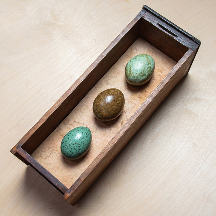 Three handmade ceramic eggs and handmade, tea stained papers set in a small vintage wood drawer. Avian Archives artwork series by Sarah Treanor. Alternate view.