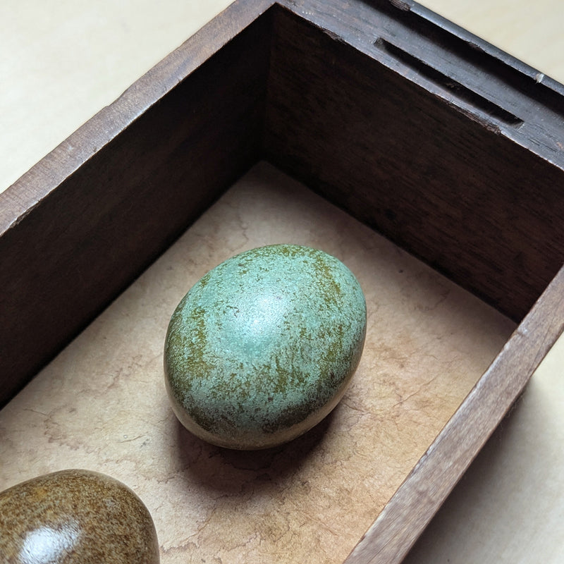 Three handmade ceramic eggs and handmade, tea stained papers set in a small vintage wood drawer. Avian Archives artwork series by Sarah Treanor. Top egg detail.