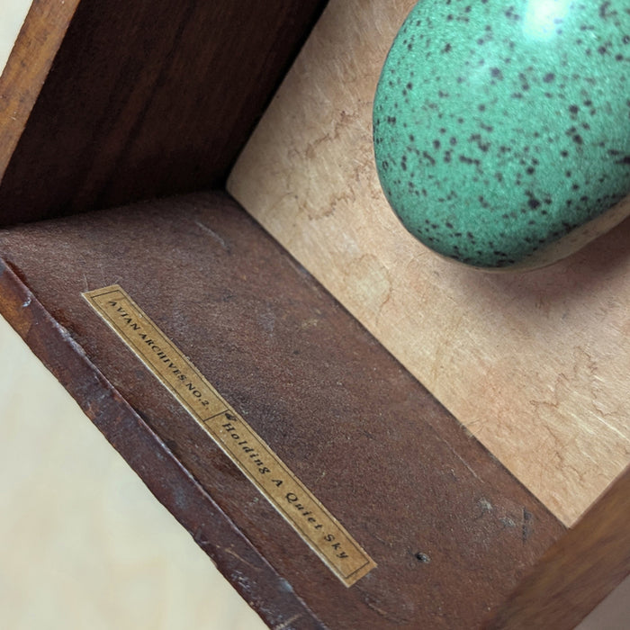 Three handmade ceramic eggs and handmade, tea stained papers set in a small vintage wood drawer. Avian Archives artwork series by Sarah Treanor. Bottom egg detail.