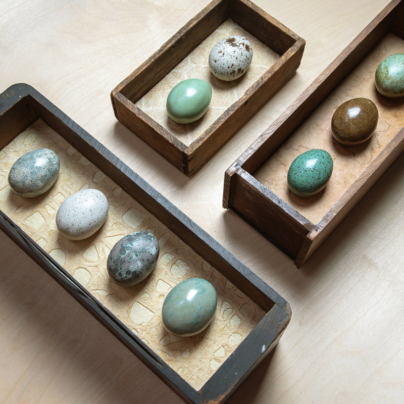 Set of handmade ceramic eggs and handmade, tea stained papers set in a vintage wood drawers. Avian Archives artwork series by Sarah Treanor. 