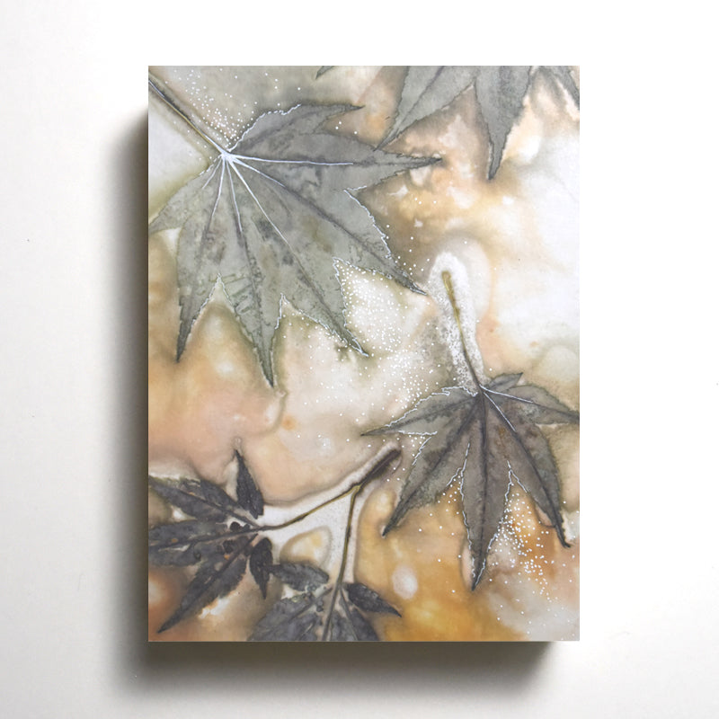 "Maple Dreams" 8 x 6" eco-printed Japanese Maple leaf artwork by artist Sarah Treanor.  Shown on wall.
