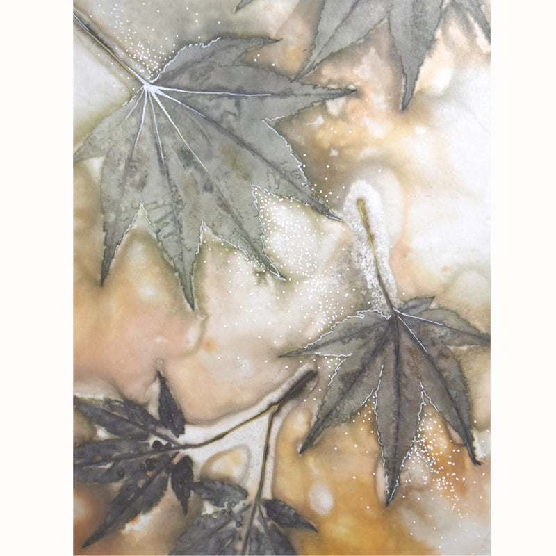 "Maple Dreams" 8 x 6" eco-printed Japanese Maple leaf artwork by artist Sarah Treanor. 