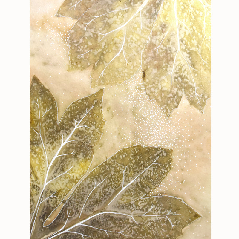 "Mayapple Bloom" 8 x 6" eco-printed Mayapple tree leaf artwork by artist Sarah Treanor. 