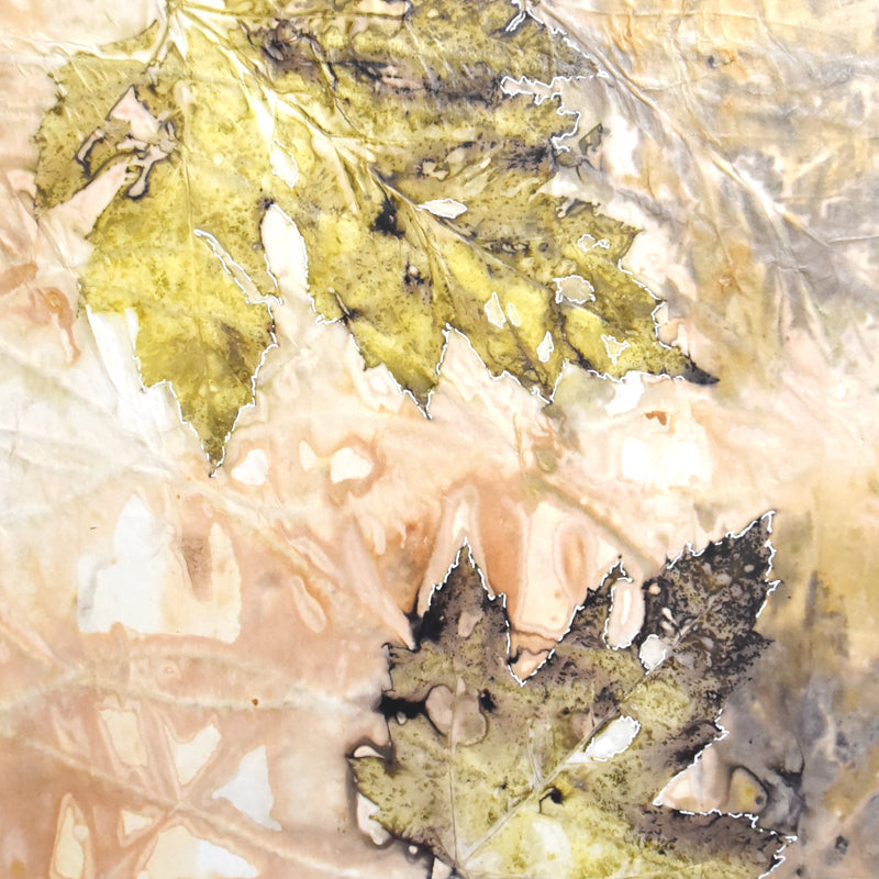 "Summer Maples" 8 x 8" eco-printed Norway Maple leaf artwork by artist Sarah Treanor. 