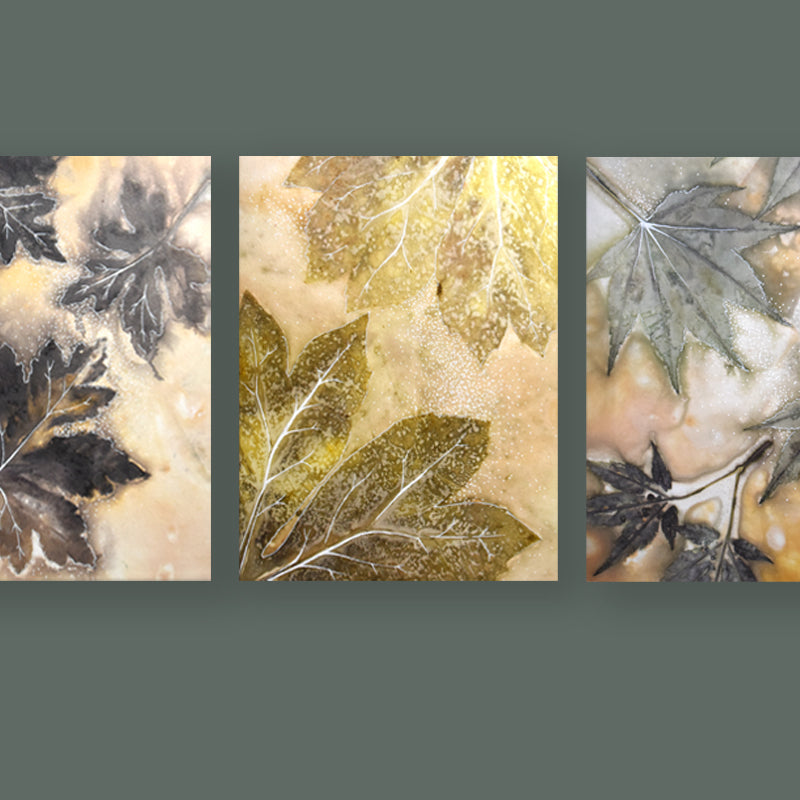 Sarah Treanor eco-printed leaf artwork. Three pieces on dark green / gray backdrop.