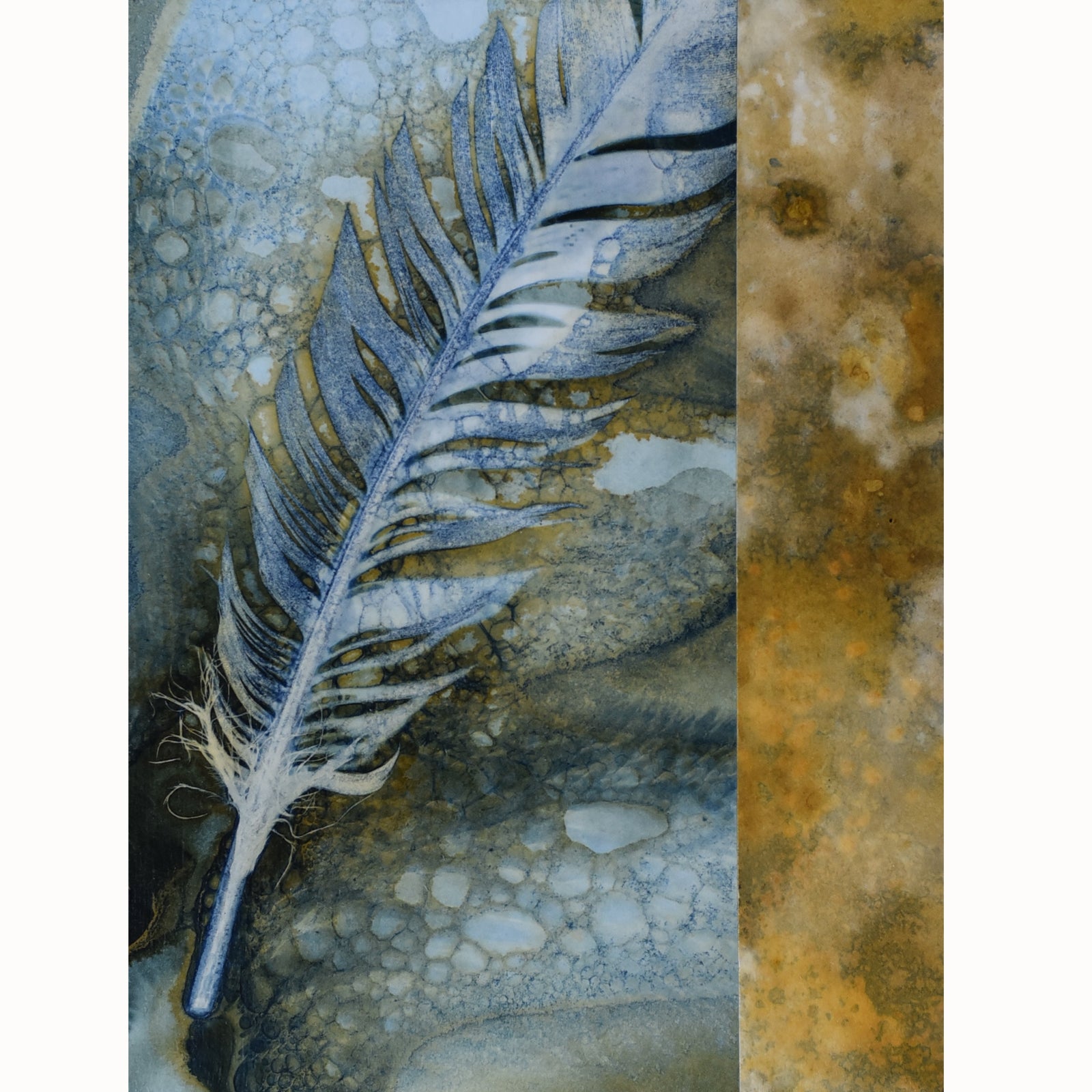 "Vitality" turkey feather cyanotype and eco-print artwork by Sarah Treanor.